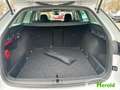 Skoda Octavia Combi First Edition 1.5TSI 110kW+NAVI+LED Weiß - thumbnail 8