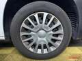 Toyota Proace City FOURGON 1.5 D4D 130 cv MEDIUM L1 DYNAMIC BA8 Gris - thumbnail 43