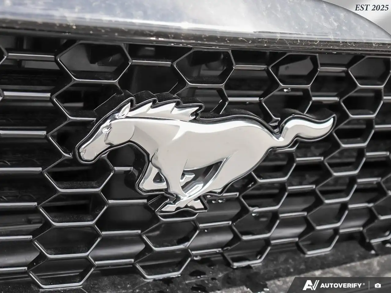 Ford Mustang fotografie Ford Mustang