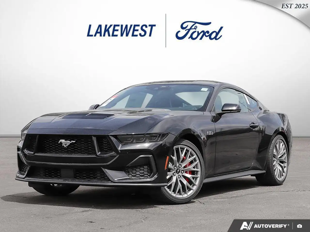 Ford Mustang fotografie Ford Mustang