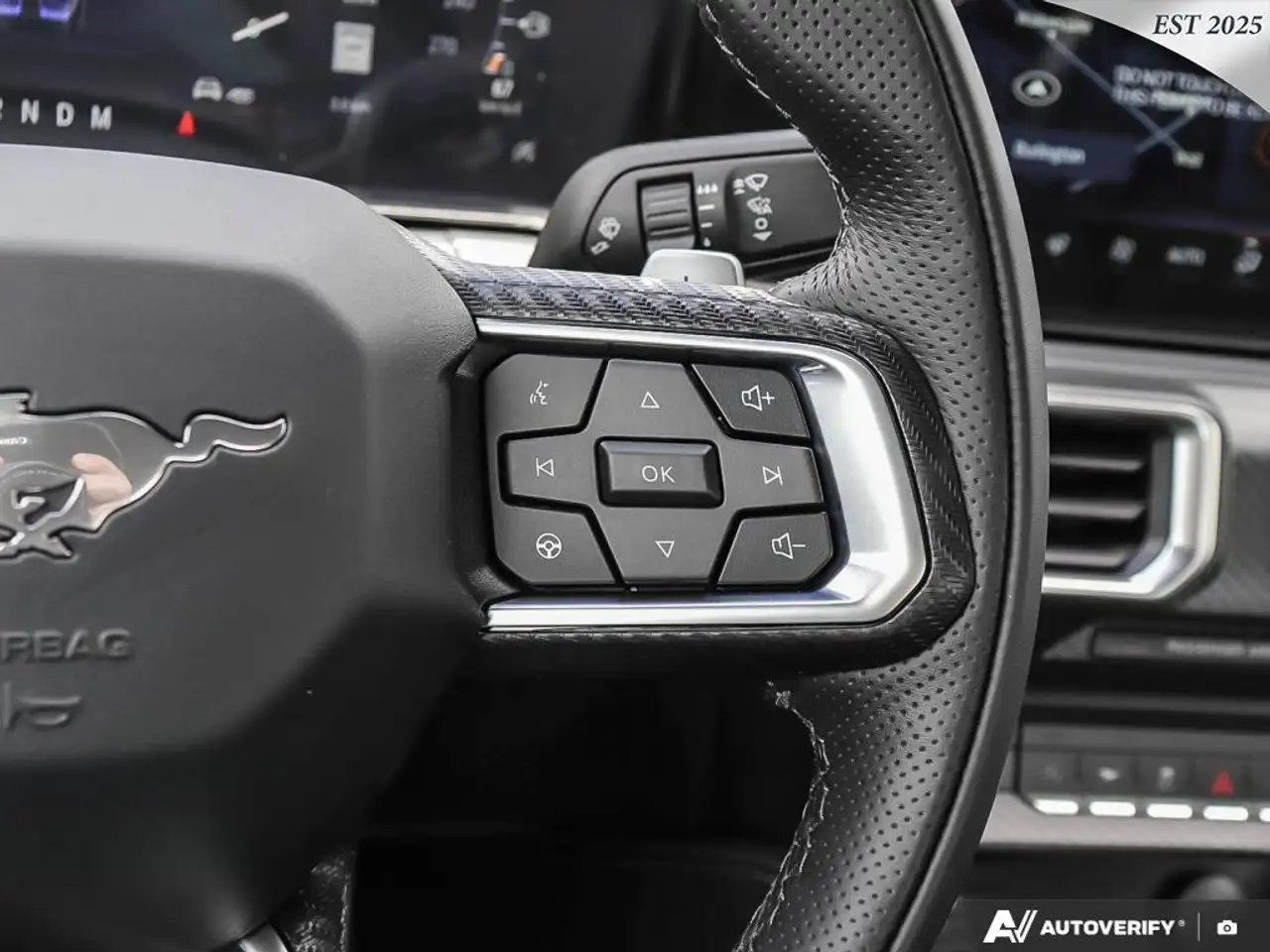 Ford Mustang fotografie Ford Mustang