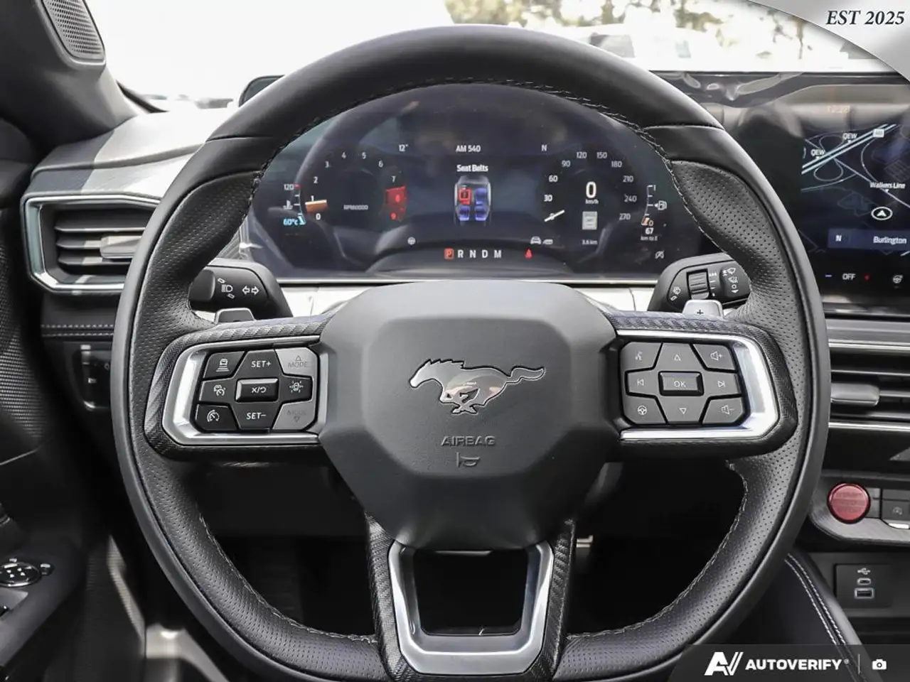 Ford Mustang fotografie Ford Mustang