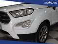 Ford EcoSport 1.0 EcoBoost 100 CV Titanium EU6 Bianco - thumbnail 8