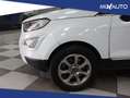 Ford EcoSport 1.0 EcoBoost 100 CV Titanium EU6 Bianco - thumbnail 7