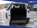 Ford EcoSport 1.0 EcoBoost 100 CV Titanium EU6 Bianco - thumbnail 6