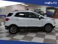 Ford EcoSport 1.0 EcoBoost 100 CV Titanium EU6 Bianco - thumbnail 3