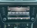 Skoda Superb Combi 2.0 TDI DSG 4x4 NAV+LED+VCOCK+PANO Gris - thumbnail 15