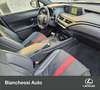 Lexus UX 250h Hybrid F Sport Grey - thumbnail 6