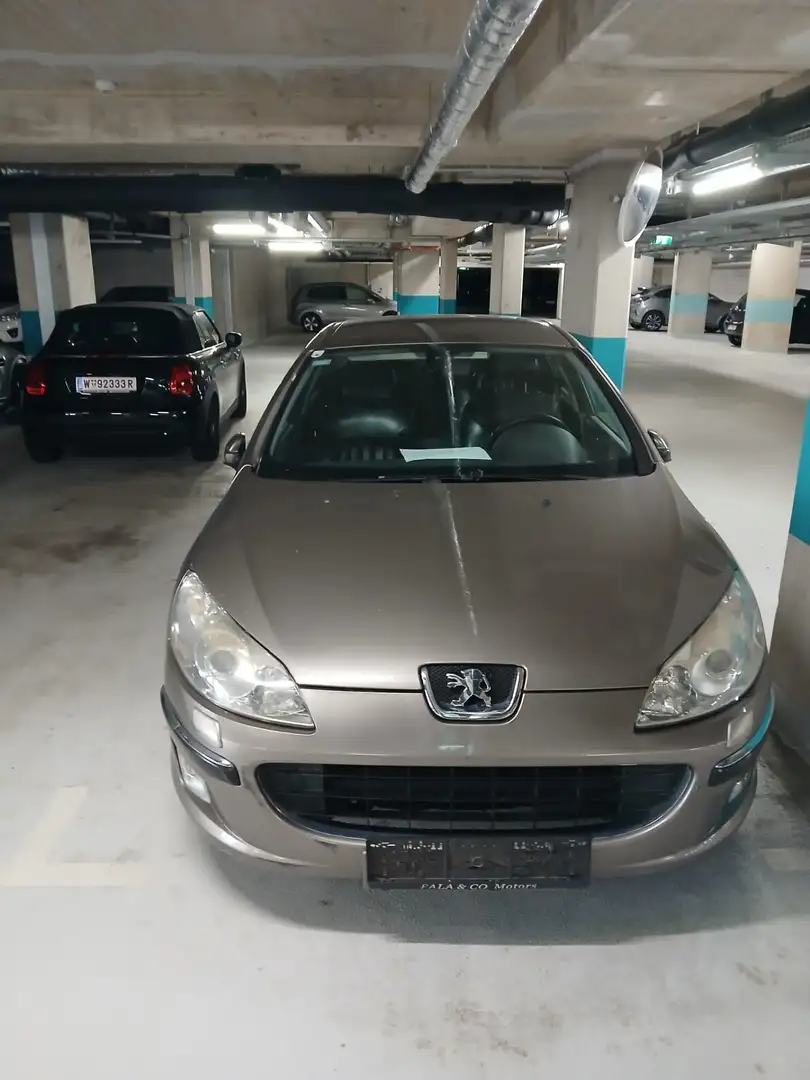 Peugeot 407 Comfort 2,0 HDI 136 (FAP) - 2