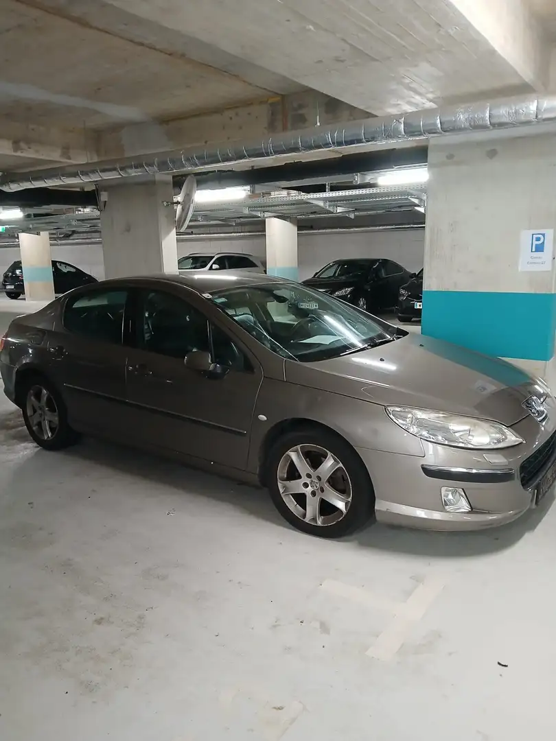 Peugeot 407 Comfort 2,0 HDI 136 (FAP) - 1