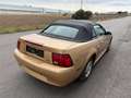 Ford Mustang Mustang Cabrio LX Aut. ID:1 Gold - thumbnail 13