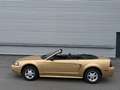 Ford Mustang Mustang Cabrio LX Aut. ID:1 Gold - thumbnail 4