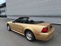 Ford Mustang Mustang Cabrio LX Aut. ID:1 Gold - thumbnail 5
