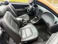 Ford Mustang Mustang Cabrio LX Aut. ID:1 Gold - thumbnail 15