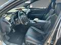 Lexus UX 250h F-Sport 4x4 Luxury und Premium Paket 8fach bereif Schwarz - thumbnail 8