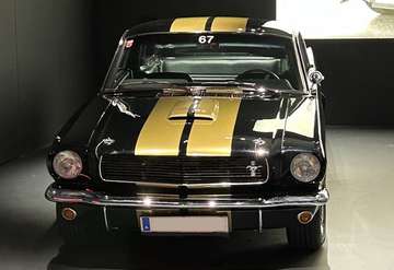 Fastback Shelby Tribute
