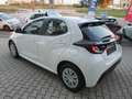Toyota Yaris 1.5 Hybrid 5 porte Active - NEOPATENTATI Bianco - thumbnail 5