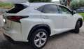 Lexus NX 300 300h 2.5 Luxury 4wd cvt bijela - thumbnail 2