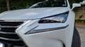 Lexus NX 300 300h 2.5 Luxury 4wd cvt bijela - thumbnail 6