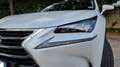 Lexus NX 300 300h 2.5 Luxury 4wd cvt Blanc - thumbnail 6