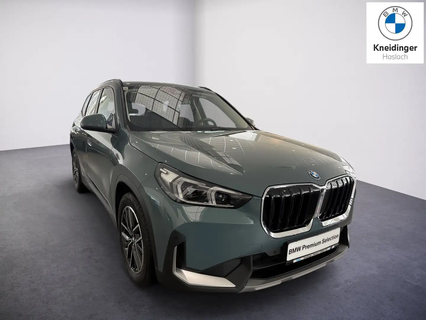 BMW X1 xDrive25e Grün - 1