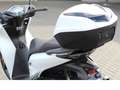 Honda SH 150 SH 150i ABS+LED inkl.TopCase !!!Herbstaktion!!! Weiß - thumbnail 10