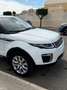 Land Rover Range Rover Evoque 2.0TD4 SE 4WD 150 - thumbnail 2