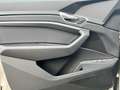 Audi e-tron e-tron 55 quattro advanced 95 kWh | 361PK | CAMERA Amarillo - thumbnail 21