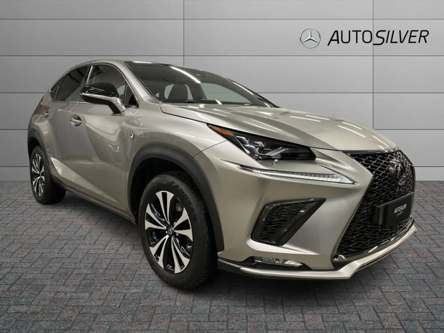 Lexus NX 300h Hybrid 4WD F-Sport Argento - 1