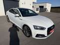 Audi A5 3,0 TdI SB quattro sport/Panorama/AHK/MATRIX Weiß - thumbnail 4