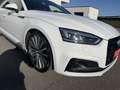 Audi A5 3,0 TdI SB quattro sport/Panorama/AHK/MATRIX Weiß - thumbnail 3