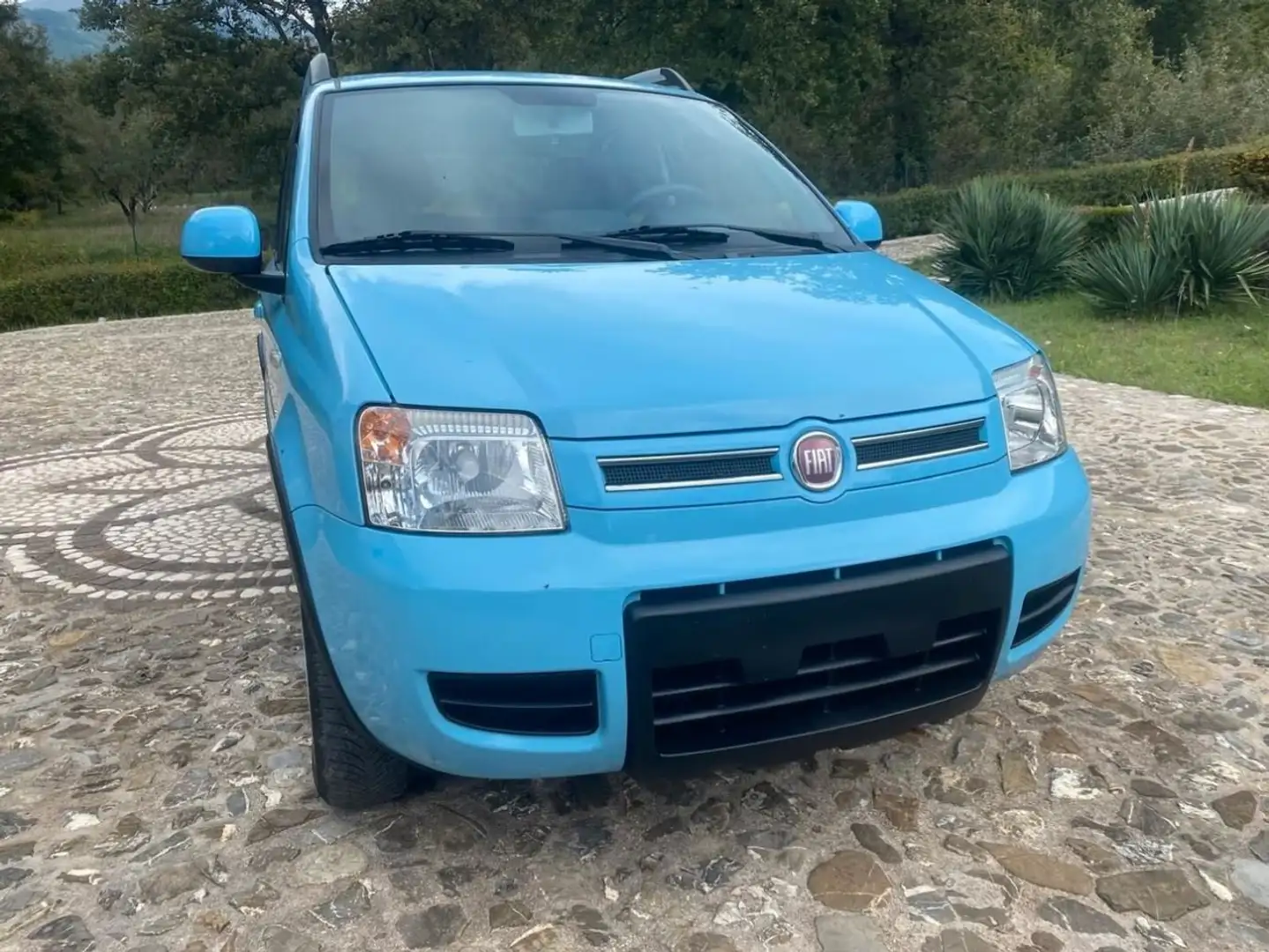 Fiat Panda 1.2 8V 4X4 Bleu - 1