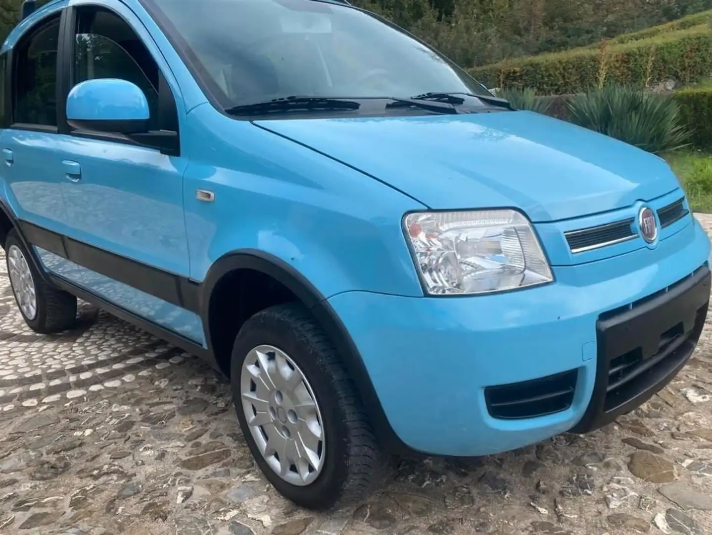 Fiat Panda 1.2 8V 4X4 Bleu - 2