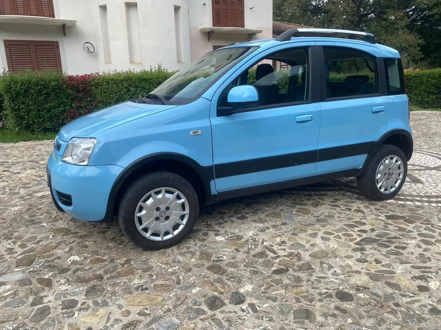 Fiat Panda 1.2  4X4 Blau - 2
