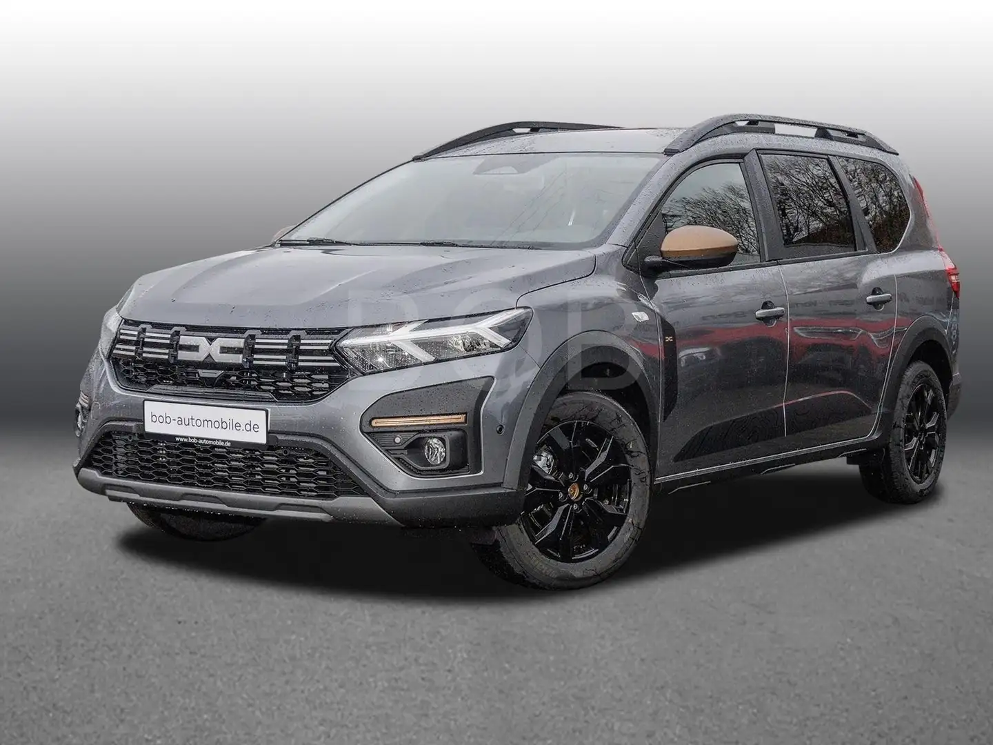 Dacia Jogger Extreme+ ECO-G 100  8-fach bereift Grau - 1