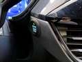 Ford Kuga 2.0 TDCI 150CV HYBRID ST-LINE X - FULL OPTIONAL Сірий - thumbnail 10