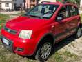 Fiat Panda Panda 1.2 4x4 Rosso - thumbnail 3