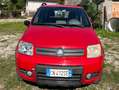 Fiat Panda Panda 1.2 4x4 Rosso - thumbnail 2