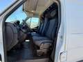 Renault Master 2.3 dCi (130 CV) L2H2 MM35 Bianco - thumbnail 7