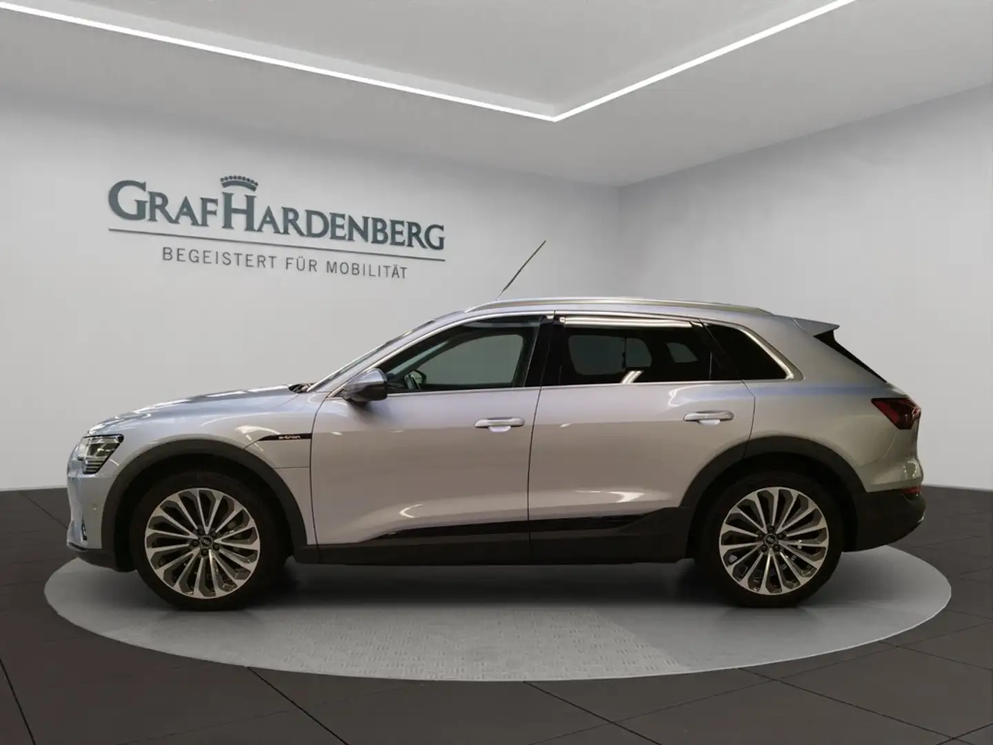 Audi e-tron 50 quattro Navi Panoramadach GRA Silber - 2