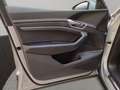 Audi e-tron 50 quattro Navi Panoramadach GRA Silber - thumbnail 10