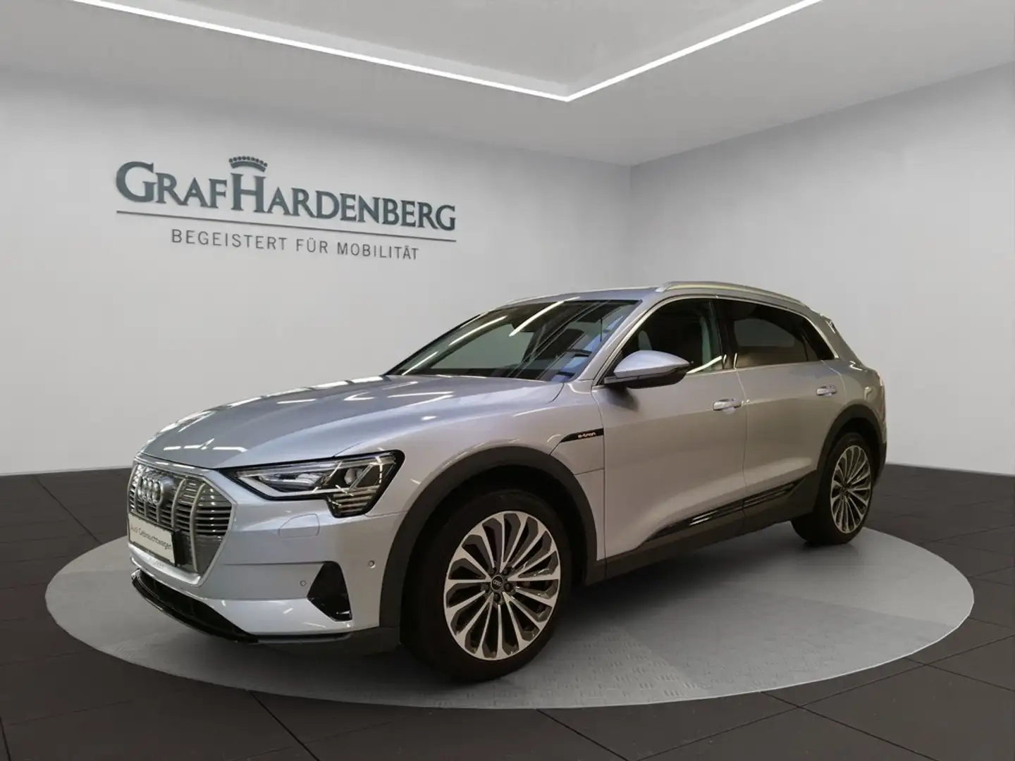 Audi e-tron 50 quattro Navi Panoramadach GRA Silber - 1