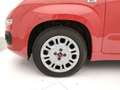 Fiat Panda 1.0 FireFly S&S Hybrid Rosso - thumbnail 8
