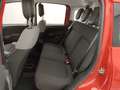 Fiat Panda 1.0 FireFly S&S Hybrid Rosso - thumbnail 10