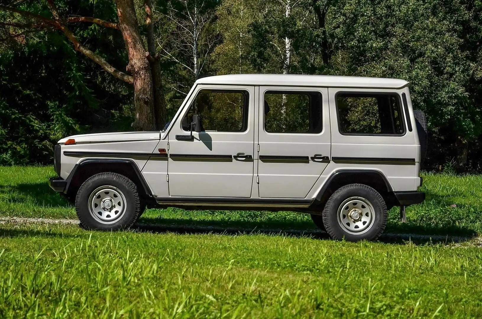 Mercedes-Benz G 240 W460 240 GD (1981) - 2