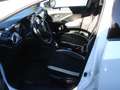 Nissan Micra 0,9 IG-T N-Connecta NAVI, KAMERA, ETC: Blanco - thumbnail 12