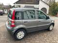 Fiat Panda 1.3 16V JTD Dynamic,  kein Klima Grijs - thumbnail 5