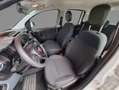 Fiat Panda Gasolina MHEV Blanc - thumbnail 5
