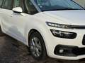 Citroen Grand C4 Picasso Grand C4 Picasso PureTech 130 S&S LIVE - thumbnail 7