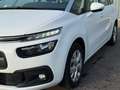 Citroen Grand C4 Picasso Grand C4 Picasso PureTech 130 S&S LIVE - thumbnail 6